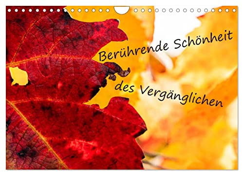 Berührende Schönheit des Vergänglichen (Wandkalender 2026 DIN A4 quer), CALVENDO Monatskalender: Der Herbst zeigt die Vergänglichkeit der Natur. (CALVENDO Natur)
