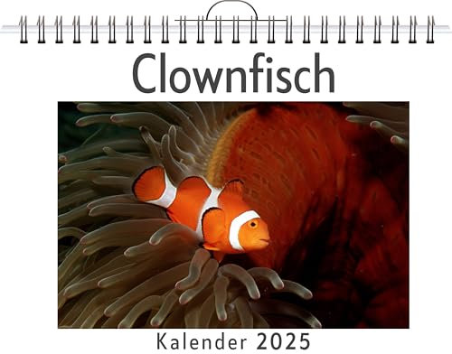 Clownfisch - (Wandkalender 2025, Kalender DIN A4 quer, Monatskalender im Querformat mit Kalendarium, das perfekte Geschenk)