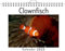 Clownfisch - (Wandkalender 2025, Kalender DIN A4 quer, Monatskalender im Querformat mit Kalendarium, das perfekte Geschenk)