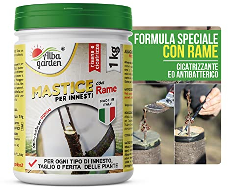 Albagarden - Mastice Per Innesti E Potature ++ Con Rame ++ Antibatterico Pasta Cicatrizzante Curativa Per Ferite Piante Alberi Arbusti Kit Bonsai X 1 Kg