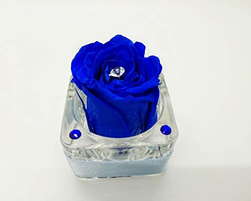Rosa blu eterna vera stabilizzata in vasetto quadrato di vetro basso. Idea regalo handmade. Alta qualità. Originale regalo.