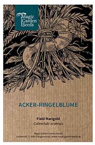 Acker-Ringelblume (Calendula arvensis) - ca. 50 Samen
