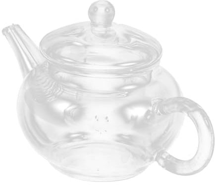 Ciieeo Théière Verre Transparent Avec Infuseur Théière À Eau Portable Pour Thé Vrac Théière Verre Pour Salon De Thé