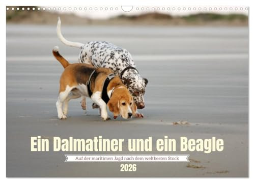 Ein Dalmatiner und ein Beagle - Auf der maritimen Jagd nach dem weltbesten Stock (Wandkalender 2026 DIN A3 quer), CALVENDO Monatskalender: Sie lieben Hunde und das Meer? Ich auch! (CALVENDO Tiere)