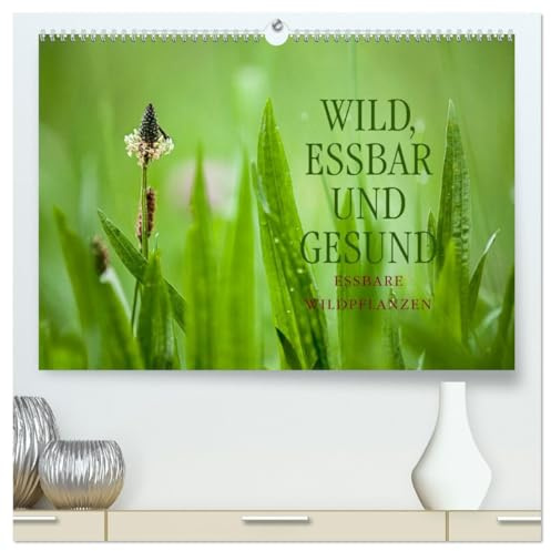 WILD, ESSBAR UND GESUND Essbare Wildpflanzen (hochwertiger Premium Wandkalender 2026 DIN A2 quer), Kunstdruck in Hochglanz: Essbare Wildpflanzen: ... und artenreich. (CALVENDO Lifestyle)
