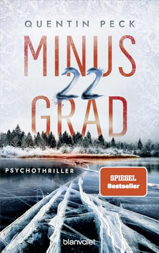 Minus 22 Grad: Psychothriller (Die Johannsen-Reihe, Band 1)