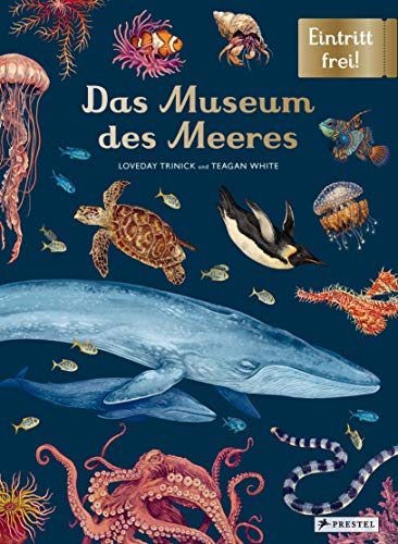 Das Museum des Meeres: Eintritt frei! - Das Sachbilderbuch im Großformat für Kinder ab 8 Jahren erklärt die Unterwasserwelt der Meere anschaulich mit ... Texten und detaillierten Illustrationen