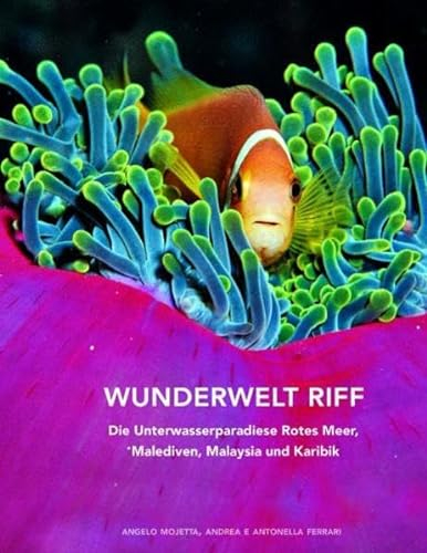 Wunderwelt Riff: Die Unterwasserparadiese Rotes Meer, Malediven, Malaysia und Karibik