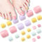 VIVID STELLA Toenails Press on Rainbow Color False Nails Summer Beach Fashion Toe Nails with Glue for Women Girls
