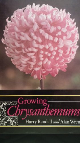 Growing Chrysanthemums