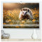 Igel - Wildtier des Jahres 2024 (hochwertiger Premium Wandkalender 2025 DIN A2 quer), Kunstdruck in Hochglanz