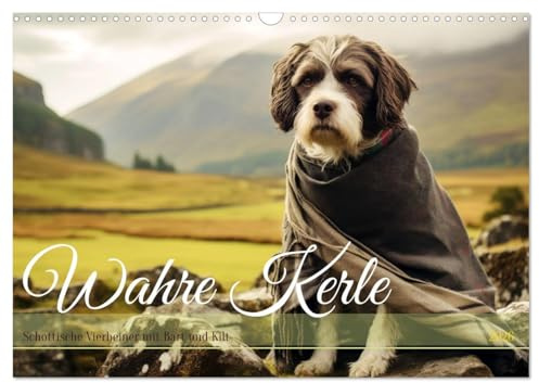 Wahre Kerle (Wandkalender 2026 DIN A3 quer), CALVENDO Monatskalender: Schottische Vierbeiner mit Bart und Kilt (CALVENDO Tiere)