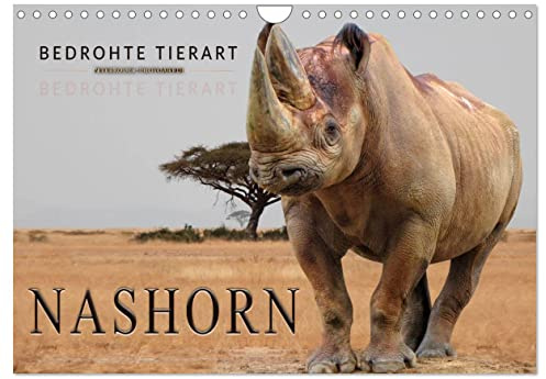 Bedrohte Tierart - Nashorn (Wandkalender 2026 DIN A4 quer), CALVENDO Monatskalender: Beeindruckende Tiere, die nicht unterschätzt werden dürfen. (CALVENDO Tiere)