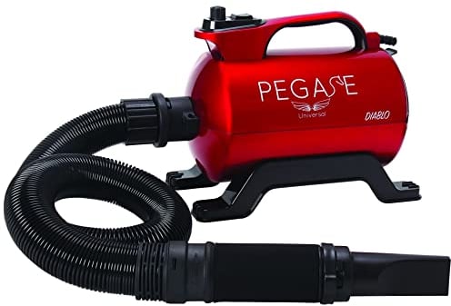 Phoenix Séchoir Rouge Diablo pour Chien 2800 W