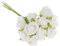 Tiuimk Lot de 100 mini roses artificielles blanches pour mariage et fête – Petites fleurs en polyéthylène avec tiges en fil de fer