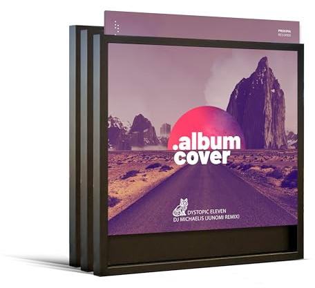 JUNOMI® 3 x Schallplatten Rahmen Schwarz | für Single LP Cover 30,4 – 31,3 cm | Vinyl Rahmen | Deko, Bilderrahmen, Wandrahmen