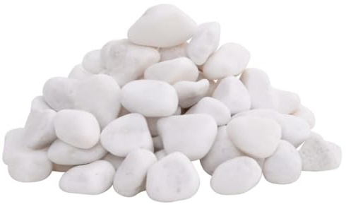 vidaXL Galets Polis, Roches de Rivière, Pierres de Vase, Galets de Décoration, Cailloux pour Aquarium Plantes Jardin, 10 kg Blanc 2-5 cm