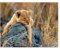 Puzzle 1000 Stück，Kleiner Löwe，Holz Adult Toys Dekompression Spiel（75x50cm）-A83