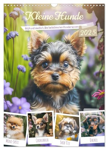 Kleine Hunde. Süß und niedlich. Die beliebtesten Hunderassen (Wandkalender 2025 DIN A3 hoch), CALVENDO Monatskalender