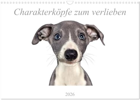Charakterköpfe zum verlieben (Wandkalender 2026 DIN A3 quer), CALVENDO Monatskalender: Hunderassen typgerecht ins beste Licht gerückt. (CALVENDO Tiere)