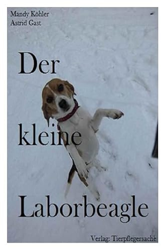 Der kleine Laborbeagle