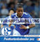 FC Schalke 04 Sammelkartenkalender 2013