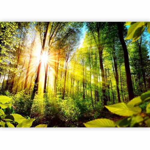 murando - Photo Wallpaper Landscape 294x210 cm / 116x83 - Peel and Stick Self-Adhesive Foil Print Wall Mural Decoration Picture Design Modern - Forest Landscape Green b-B-0248-a-a