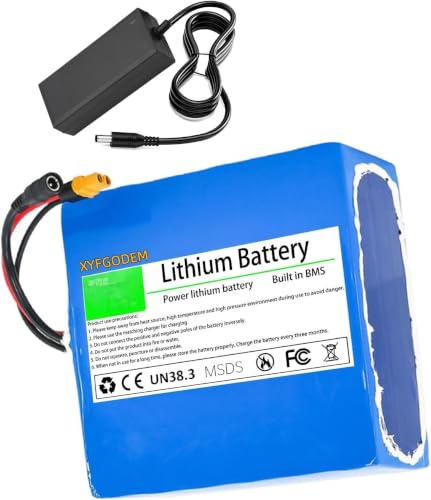 Lithium Battery 29.4 V, 24 V, 10 Ah, 12, 15, 20, 25, 30, for Electric Bike, Volt Batteries for Fishing Boats with Charger, 24 V (29.4 V) 10 Ah 7S