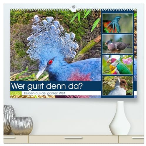 Wer gurrt denn da? (hochwertiger Premium Wandkalender 2026 DIN A2 quer), Kunstdruck in Hochglanz: Wunderschöne Tauben aus der ganzen Welt (CALVENDO Tiere)