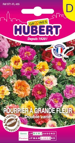 Graines de Pourpier à grandes fleur double variée (Portulac) - 0,3g | Semendces Reproductibles & NON Traitées