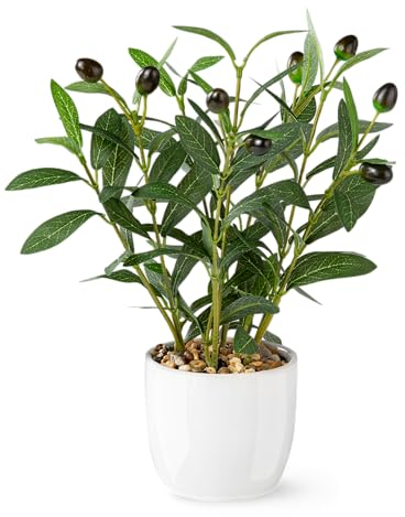 PASCH® Künstlicher Olivenbaum (34cm) in weißem Keramiktopf: Kunstpflanzen wie echt | Künstliche Pflanzen im Topf | Fake Plant: Olive Tree | Olivenbaum künstlich klein | Kunstblumen im Topf