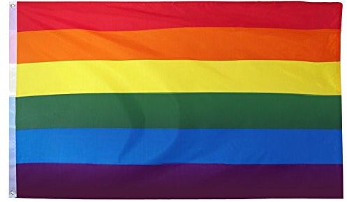 Mittlere Regenbogenflagge, LGBTQIA2s+ Pride-Flaggen, Outdoor- und Indoor-Zubehör für Pride-Monat, Karneval, Festivals, Gartenparty, Lesbisch, Schwul, Bi, Trans 5ft x 3ft - Von TRIXES
