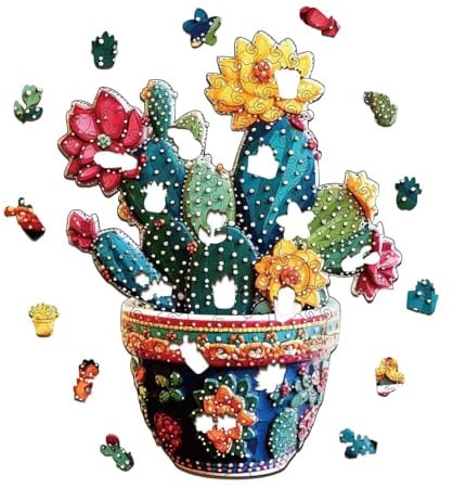 Cactus Wood: Set di piante colorate, giocattolo artistico di Flora in legno, design accattivante | Gioco consapevole per familiari, amici, bambini, ragazze