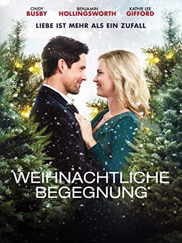 Weihnachtliche Begegnung - Liebe ist mehr als ein Zufall