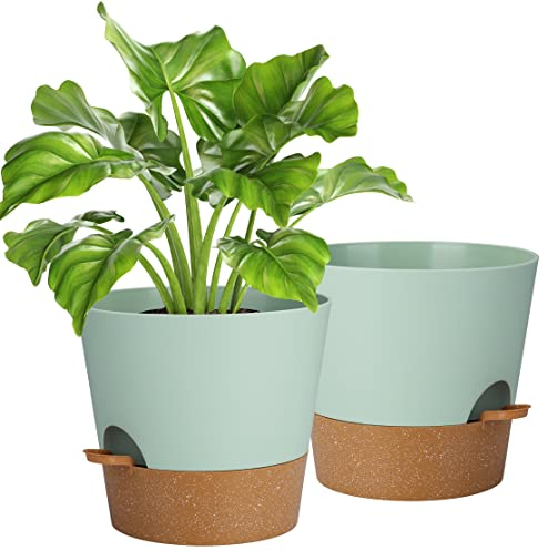 10 Inch Maceta con Plato, 2 Packs Macetas Plástico Maceteros Decorativos Interior con Agujeros de Drenaje,Riego Automático Macetas para Plantas Flores,Decoración del Hogar Balcón Jardín
