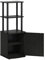Furinno 2-Tier Tall TV Entertainment Side Table Display Rack with Storage Cabinet, Made from Wood, Blackwood/Black