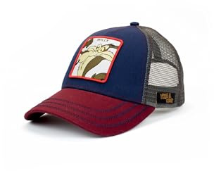 TIRABASSO - Baseball-Trucker-Mütze mit originellem Stoffaufnäher WILLY & COYOTE Warner Bros - Blau, 58