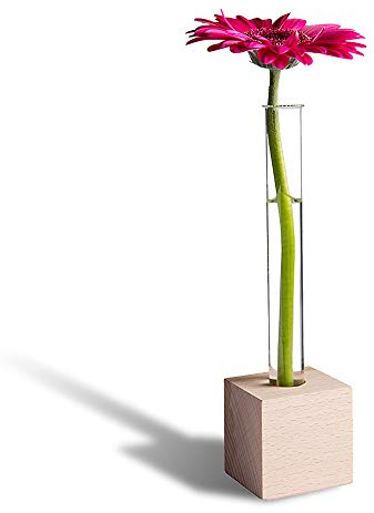 Tuuters Reagenzglas Vase aus Holz – Moderne Tischdeko, inkl. hochwertigem Reagenzglas (Buche 1-Loch)