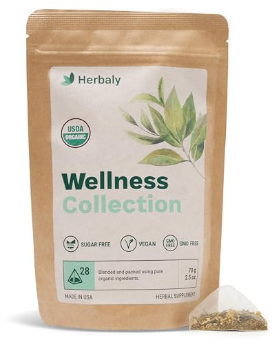 Herbaly Wellness Collection Organic Herbal Ginger Tea, 70 g, 28 Count Bag (Pack of 1)