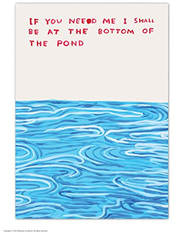 Brainbox Candy Offizielle David Shrigley Postkarte – Bottom Of The Pond – lustige Postkarten – David Shrigley Kunst – A6 Druck – künstlerische Postkarte – verkauft