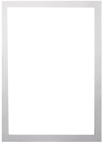 Rianpesn Porte-Affiche magnétique - Licence Commerciale magnétique | Cadre d'affiche magnétique poinçonnage Gratuit Auto-adhésif, Autocollant d'affichage Licence Commerciale, Cadres