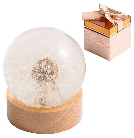 1st Heaven Pusteblume in Harzkugel, Wunscherfüller, Dekoration für Zuhause & Büro, Realer Pusteblume Briefbeschwerer in Geschenkbox, Ideal für Geburtstag, Hochzeit & Abschluss