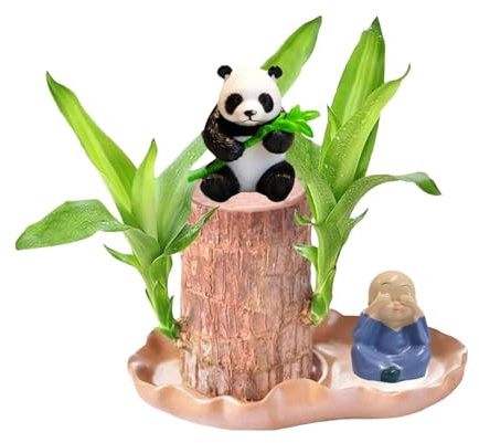 Glückliche Holzpflanze mit Panda-Mönch-Statue, brasilianisches Holz, Hydrokultur-Pflanzenset, einfach zu wachsen, brasilianischer Glücksbaum, Mini-Brasilien-Pflanzgefäß-Dekorationen für Töpfe (C)