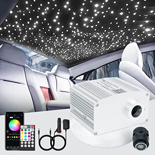 CHINLY Bluetooth 10W RGBW Twinkle LED in fibra ottica Star Plafoniere Kit APP/telecomando 450 pezzi * 0,75 mm * 3 m fibra ottica per casa/auto