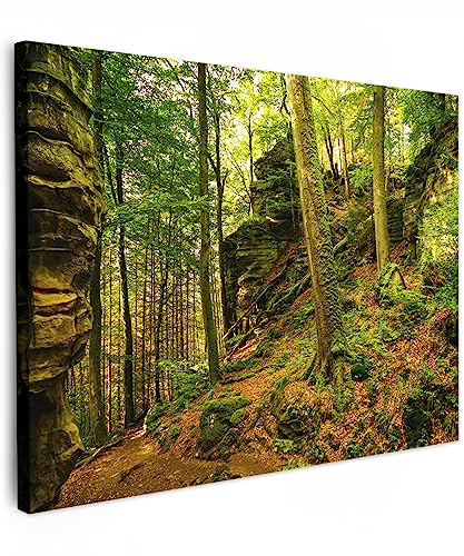 MuchoWow© Bilder 80x60 cm Wohnzimmer Deko Modern Wandbild Foto auf Leinwand Bild Schlafzimmer Room Decor Geschenke Wandbilder Wald - Bäume - Stein - Natur - Pflanzen