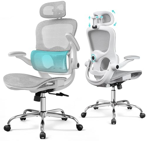 DEVAISE Bürostuhl Ergonomisch: Schreibtischstuhl mit Segmentierter Rückenlehne, Verstellbarer Kopfstütze und Lendenwirbelstütze, 4D-Armlehnen, Wippfunktion, Hohe Lehne, für Büro, bis 180kg, Grau