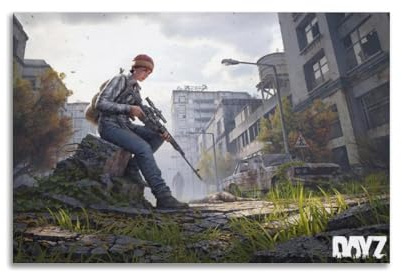 ETRVBDUB DayZ Spielposter, dekoratives Gemälde, Leinwand, Wandposter und Kunstdruck, moderne Familienschlafzimmer-Dekoration, Poster, 20 x 30 cm