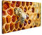 Bild auf Leinwand Bienen In Einem Bienenstock Auf Bienenwabe Wandbild Poster Kunstdruck Bilder