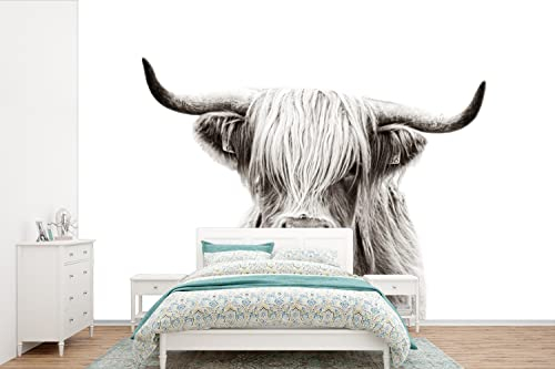 Selbstklebend Tapete Wandpapier Wandaufkleber Fototapete Tapeten Wanddeko 600x400 cm Schottischer Highlander - Kuh - Schwarz - Weiß