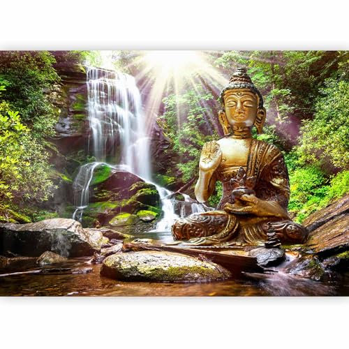 murando Fotomurales 300x210 cm XXL Papel pintado tejido no tejido Decoración de Pared decorativos Murales moderna de Diseno Fotográfico Natur Buda Zen Spa Bosque Cascada h-C-0033-a-b